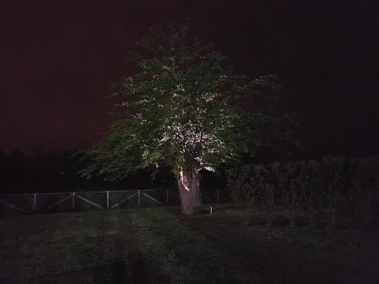 Locanda Veneta Виченца Екстериор снимка